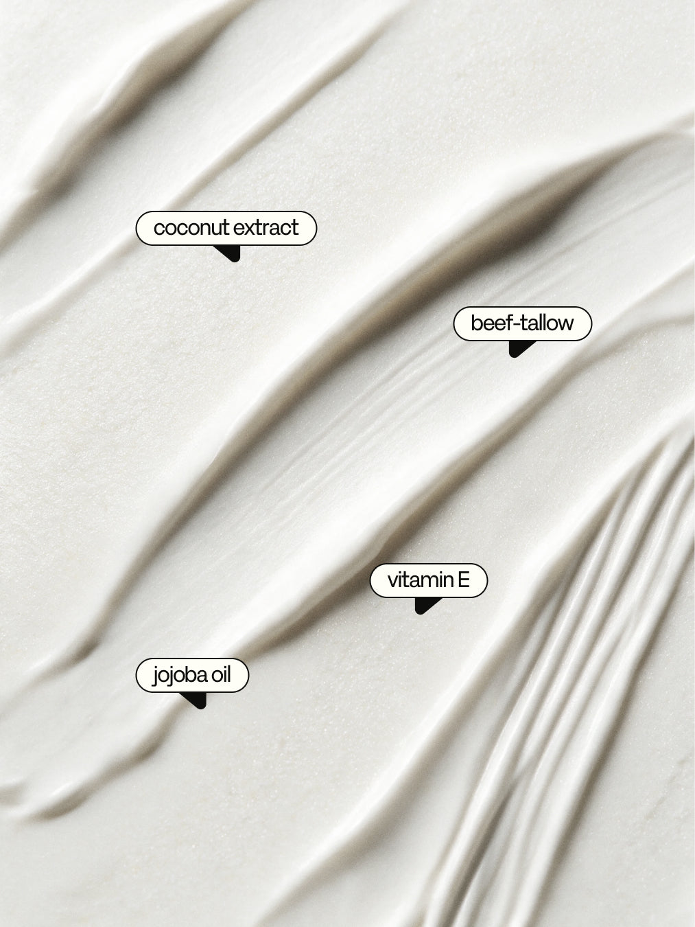 The Coconut - Day Cream